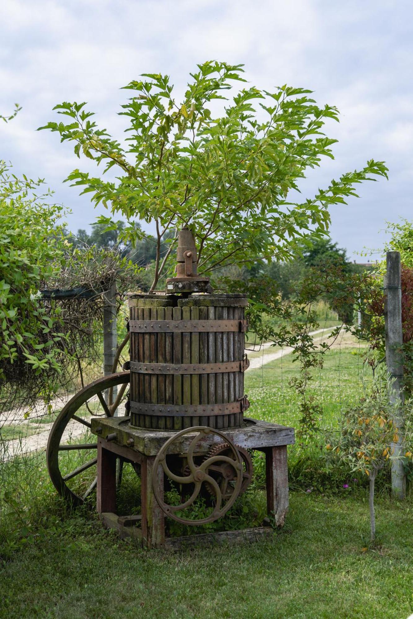 La Cantinella Country House 拉莫拉 外观 照片
